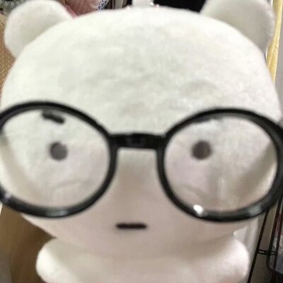 猫猫狗狗玩偶 头像