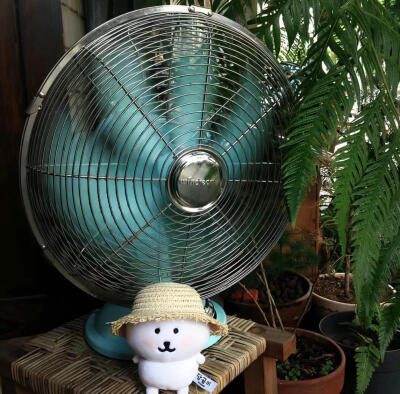 壁纸背景 日常 自然 蓝色