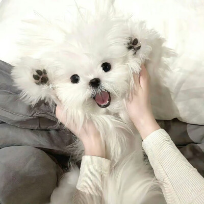 ins风背景图