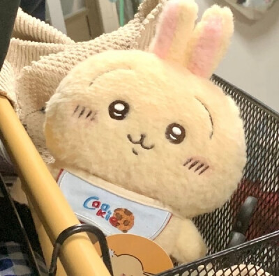 猫猫狗狗玩偶 头像