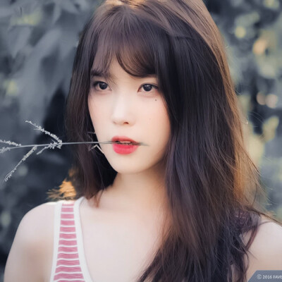 大树会拥抱每个抬头的人
iu
起司名札