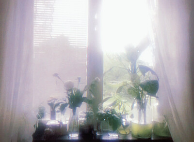 駆け抜けた恋、戻らない夏、綺麗な花火だった。