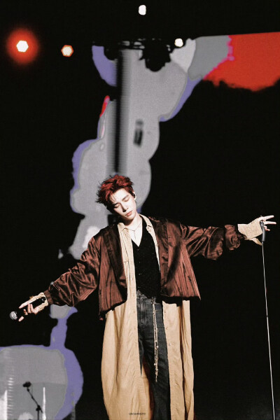 王安宇