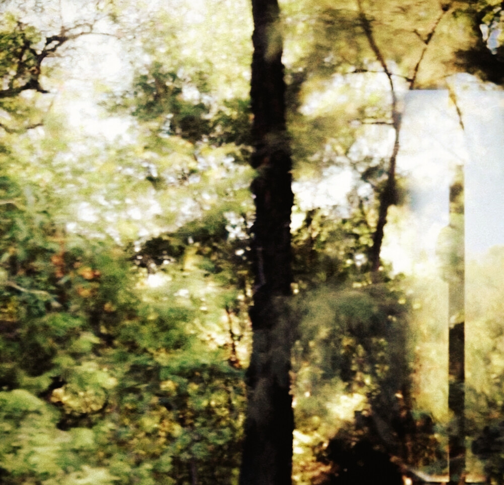 
幸福的永远是我
