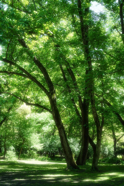 背景
