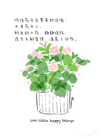 手绘花花