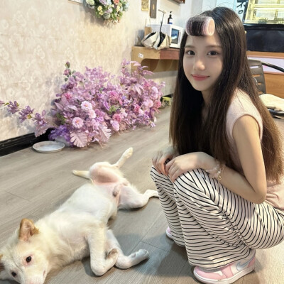 摇尾乞怜