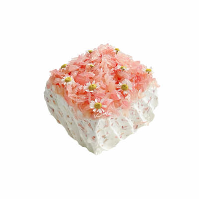 蛋糕白底头像