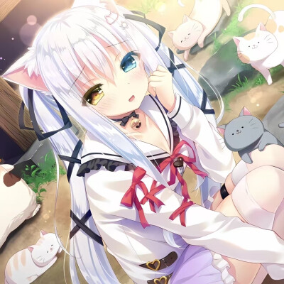 头像
