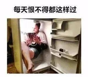 表情包
