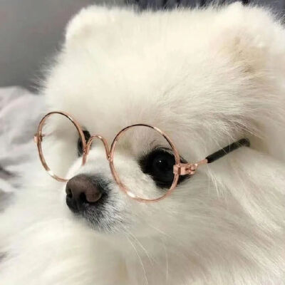 可爱小狗头像