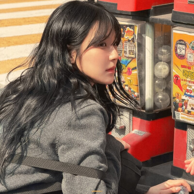 白知宪