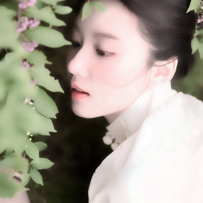 Le tournesol、向日葵的选项“我的身边Al miofianco
