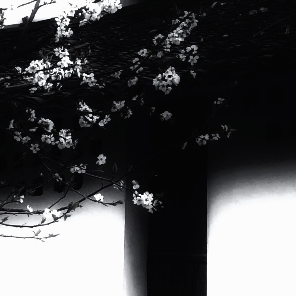 左手脉搏跳动的隐痛 才知道爱也拉扯神经