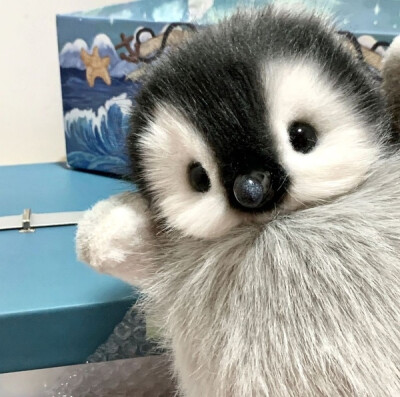 猫猫狗狗玩偶 头像
