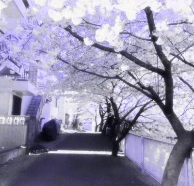 触摸世界的温度