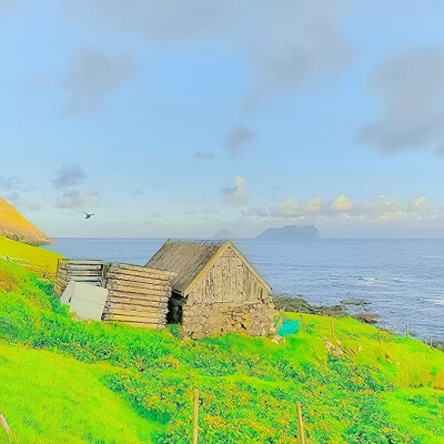 
感谢我们树渡宝宝送来的柚子