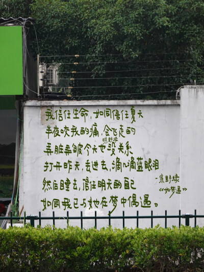 文字/
朋友圈背景图/
cr.@焦野绿在写诗