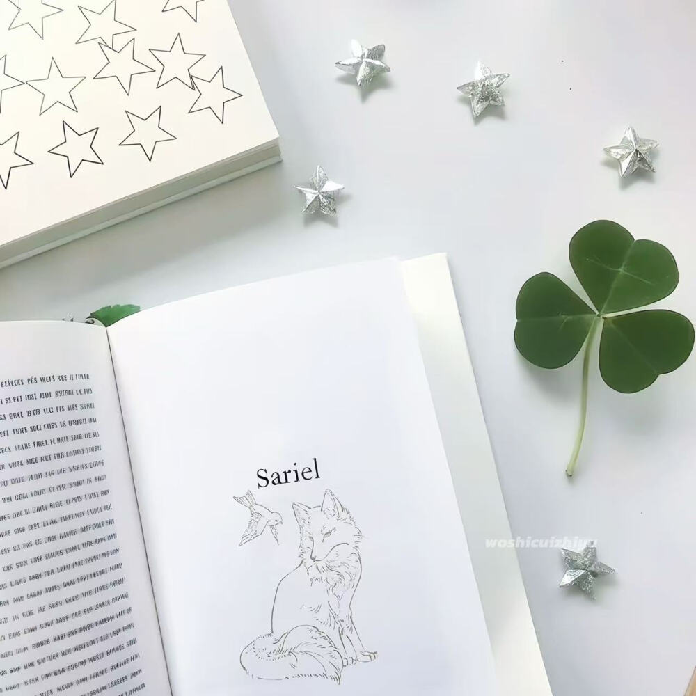 哈哈哈哈哈哈哈哈哈是崔稚渝送的呀