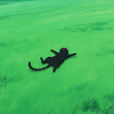 黑猫