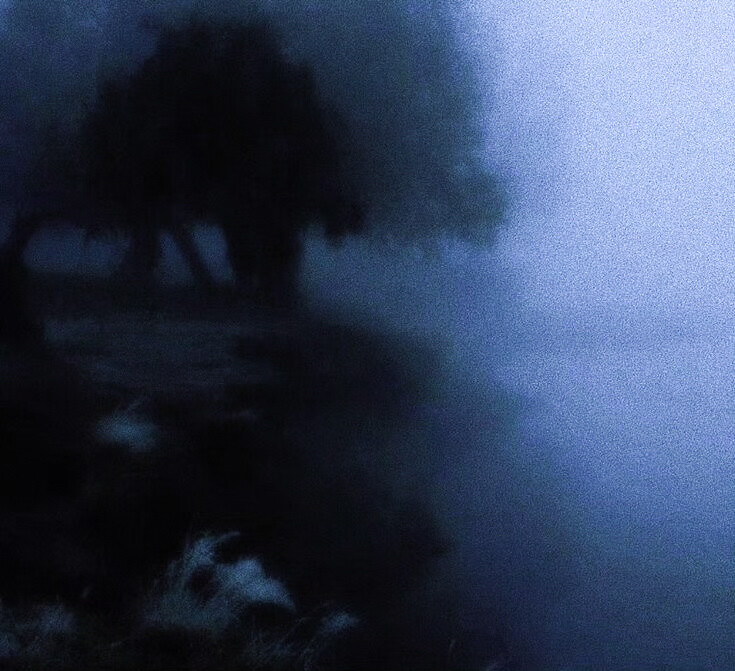 想念竟然可以跨越时间随海流飘远