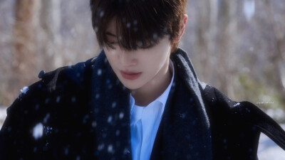 郑成灿 橙光素材