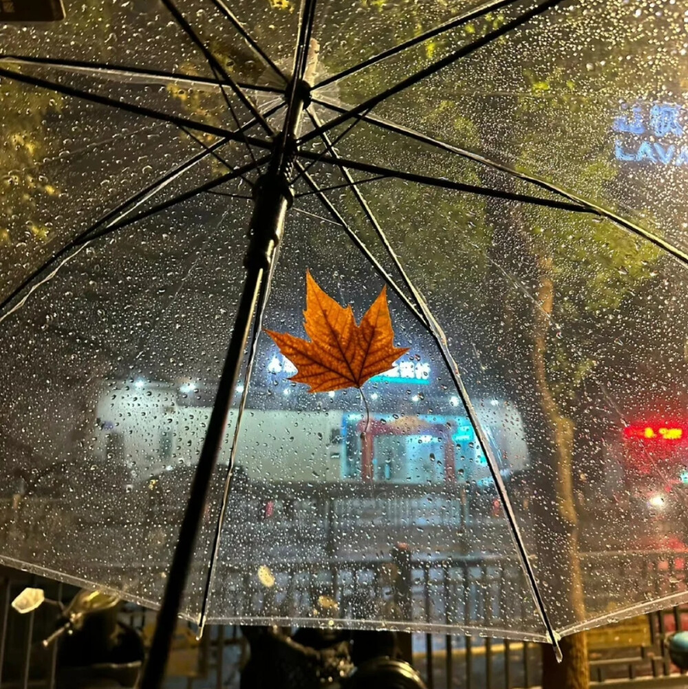 背景图