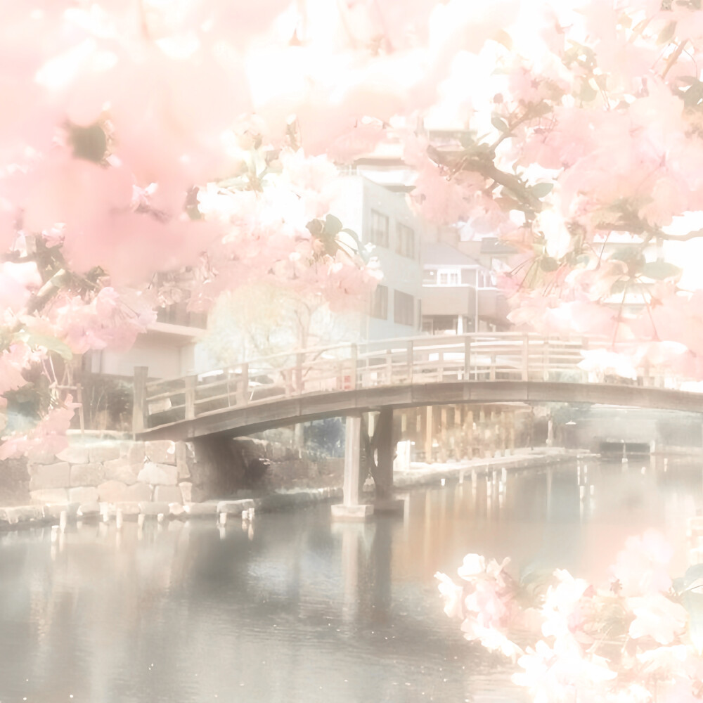 这个陈文嘉怎么这么会修