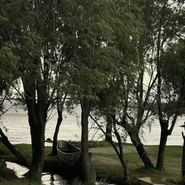  苏晓彤套图可二改6张
抱图去专辑，多图到时候会删了