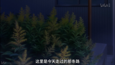 夏目友人帐