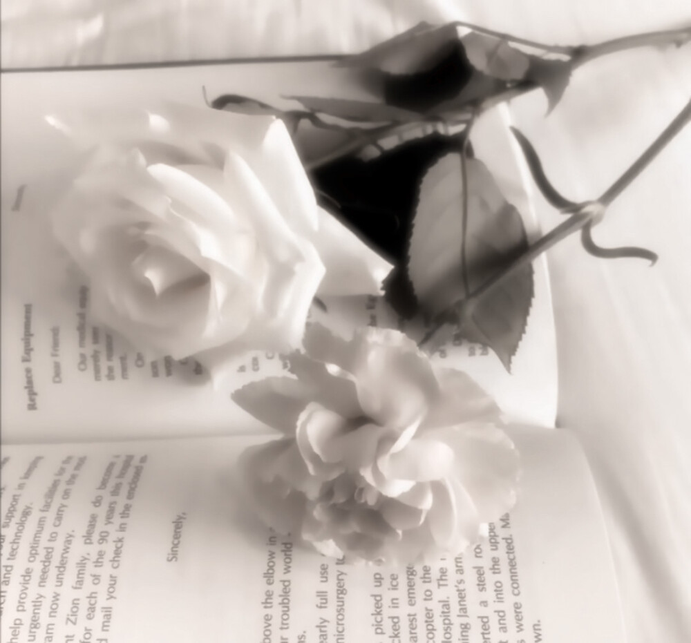 嗯对又被文嘉欧尼宠了 善哉