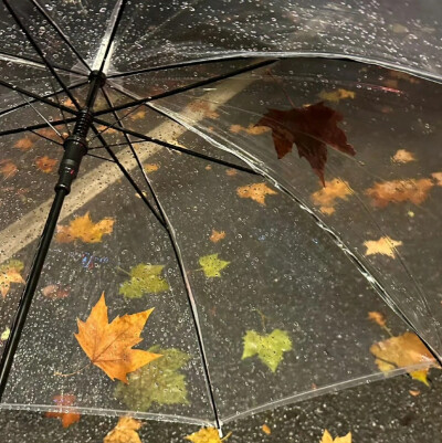 背景图