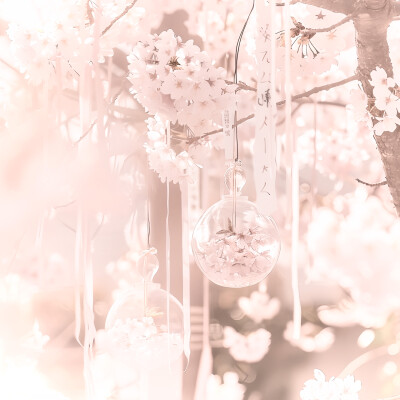 这个陈文嘉怎么这么会修