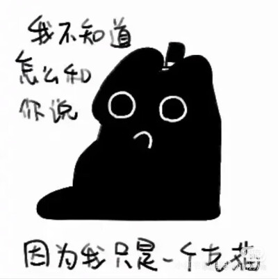 克猫猫表情包