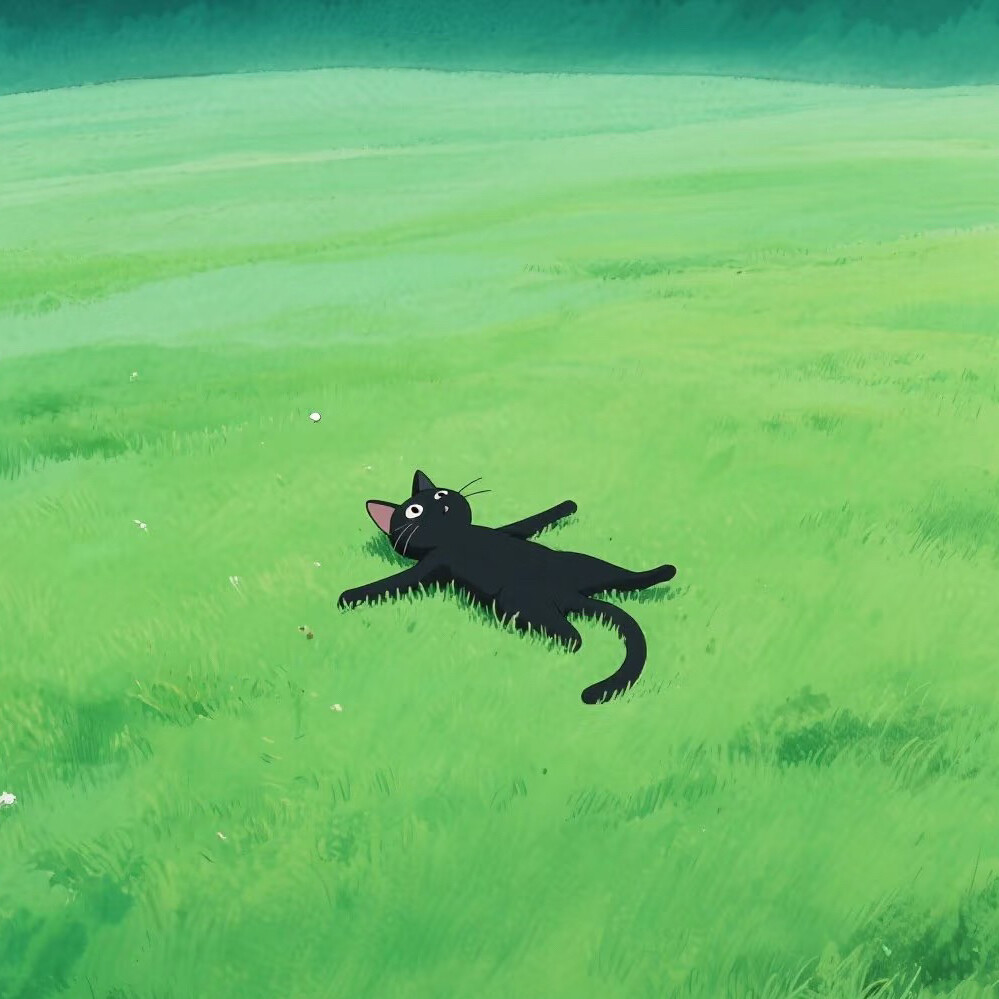 黑猫