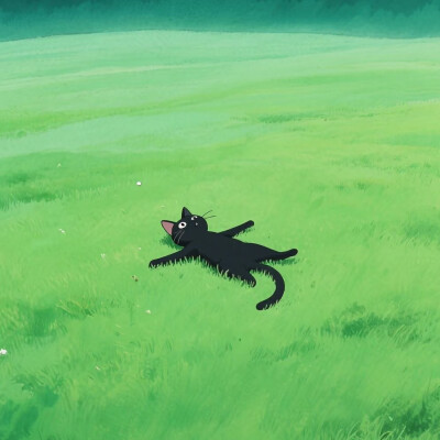 黑猫