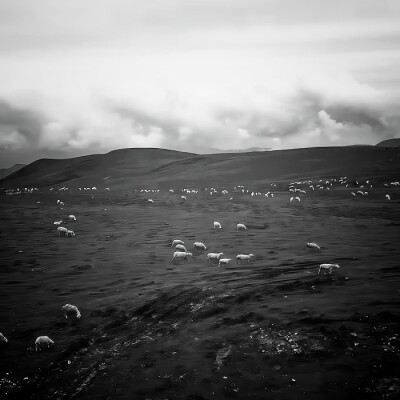 我仍感受相同的悸动