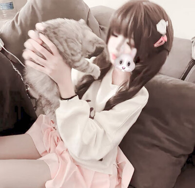 愿与愁