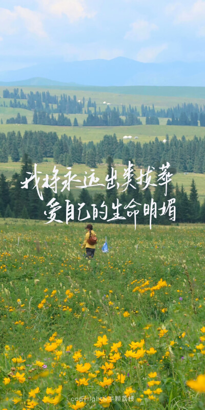 文字壁纸/
cr.@半颗荔枝i