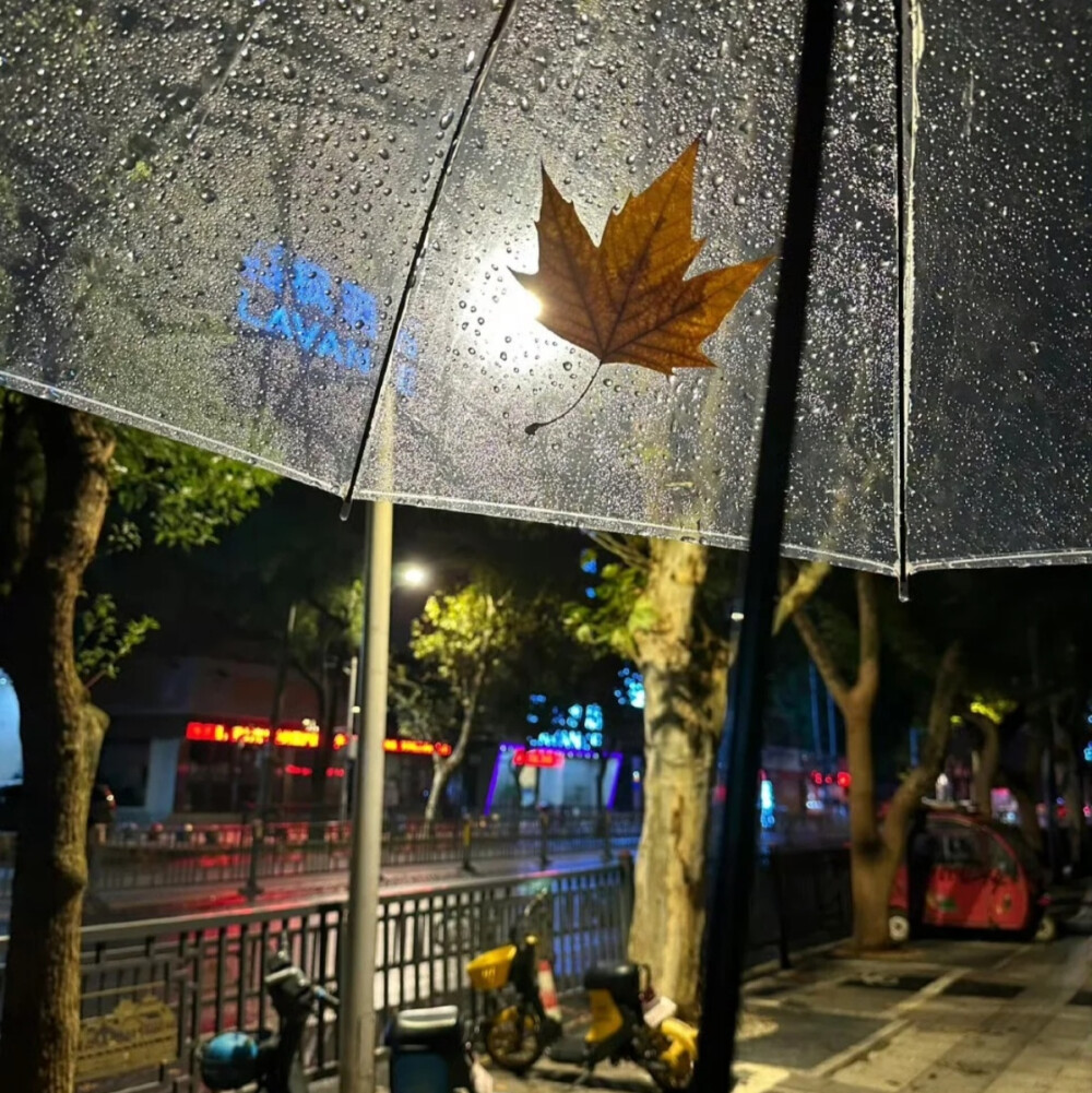 背景图
