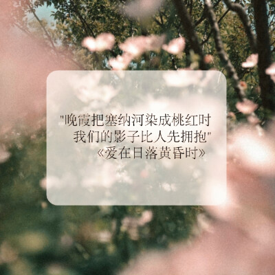  城时旧日 苦橙聆