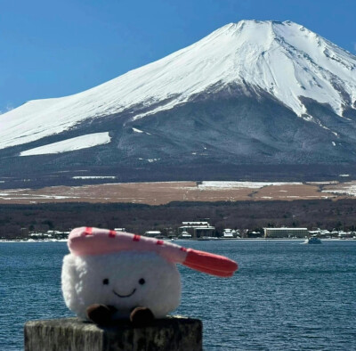 娃娃头像