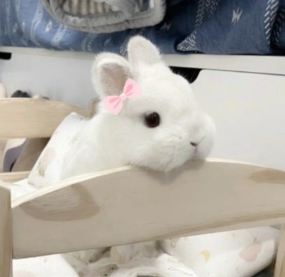 雪允