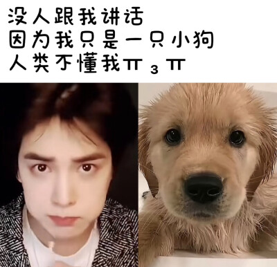 熏熏呀