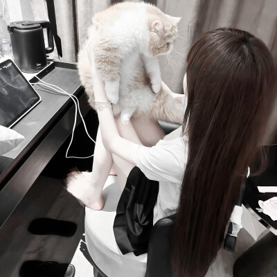 雾