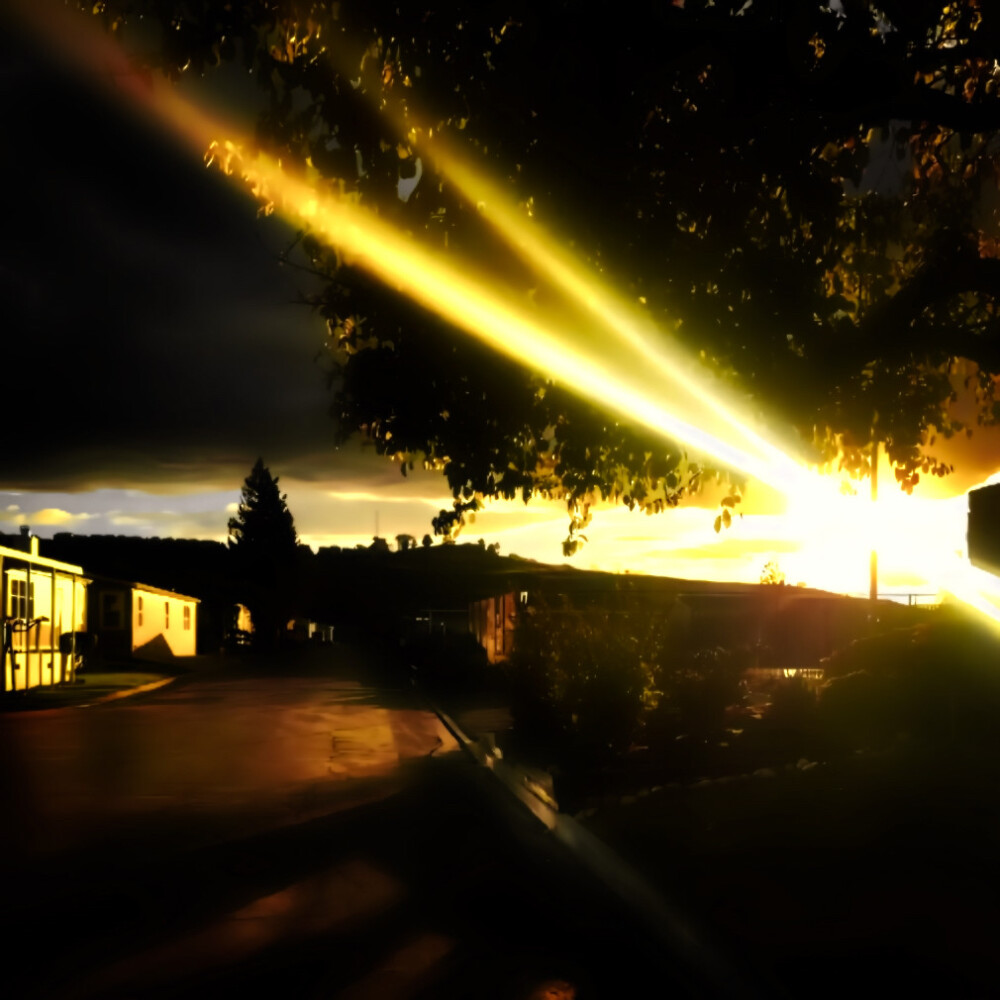 烙印我的罗曼蒂克