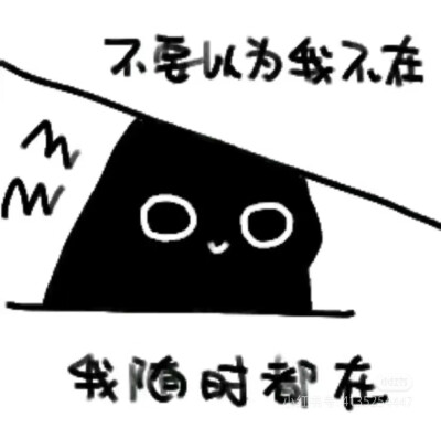 克猫猫表情包