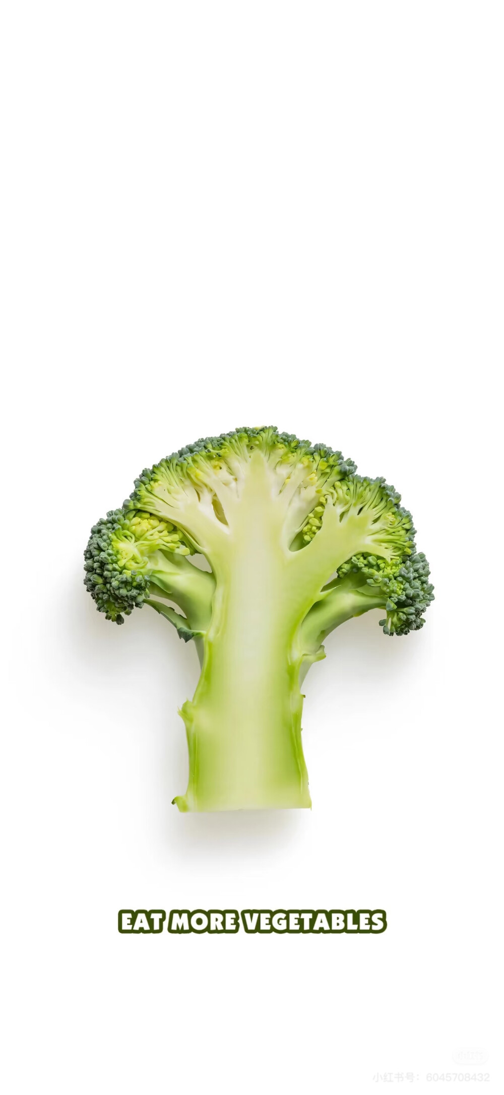壁纸