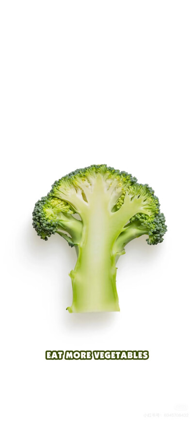 壁纸