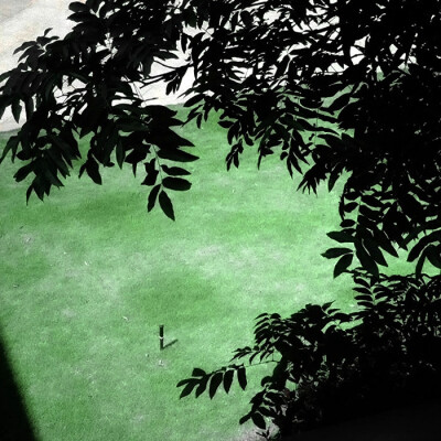 来自坞山零的宠爱